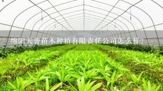 绵阳天普苗木种植有限责任公司怎么样？