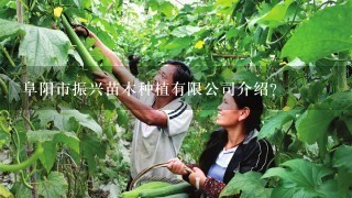 阜阳市振兴苗木种植有限公司介绍？