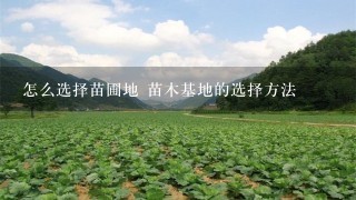 怎么选择苗圃地 苗木基地的选择方法