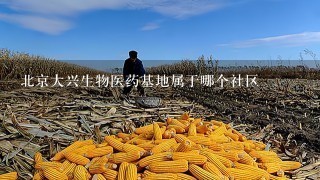 北京大兴生物医药基地属于哪个社区