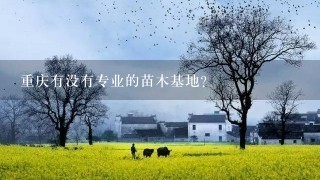 重庆有没有专业的苗木基地？