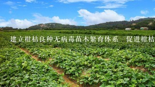 建立柑桔良种无病毒苗木繁育体系　促进柑桔产业健康