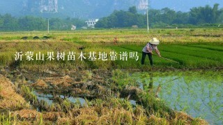 沂蒙山果树苗木基地靠谱吗