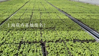 上海花卉基地排名？