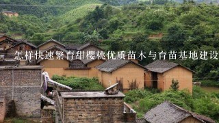 怎样快速繁育甜樱桃优质苗木与育苗基地建设？