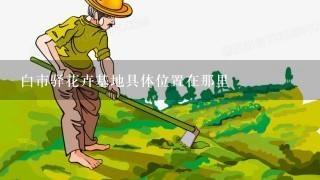 白市驿花卉基地具体位置在那里