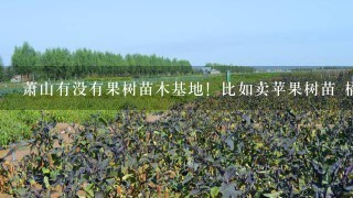 萧山有没有果树苗木基地！比如卖苹果树苗 橘子树苗 等等水果苗木