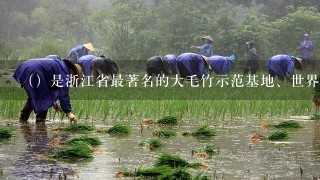 （）是浙江省最著名的大毛竹示范基地、世界亚非拉十7国毛竹科学培育基地。