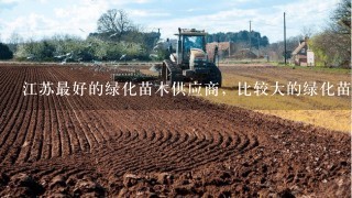 江苏最好的绿化苗木供应商，比较大的绿化苗木基地