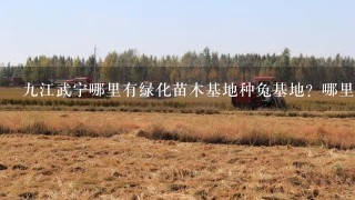 9江武宁哪里有绿化苗木基地种兔基地？哪里有桂花树红豆杉果树苗卖？