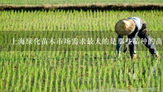 上海绿化苗木市场需求最大的是那些品种的苗木