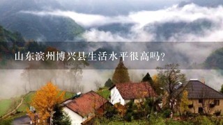 山东滨州博兴县生活水平很高吗？