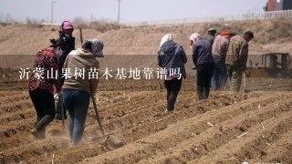 沂蒙山果树苗木基地靠谱吗