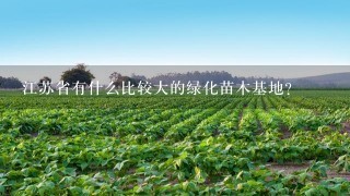 江苏省有什么比较大的绿化苗木基地？