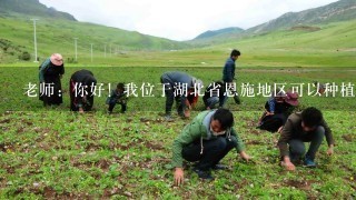 老师：你好！我位于湖北省恩施地区可以种植麻类植物吗？