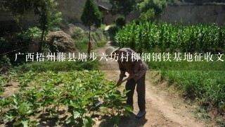 广西梧州藤县塘步6坊村柳钢钢铁基地征收文件多少钱1亩芳山？