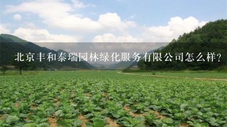 北京丰和泰瑞园林绿化服务有限公司怎么样？
