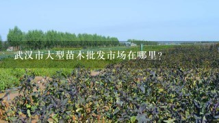 武汉市大型苗木批发市场在哪里？