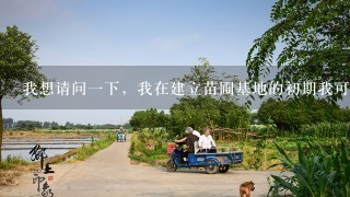 我想请问1下，我在建立苗圃基地的初期我可以种植什么类型的树苗？