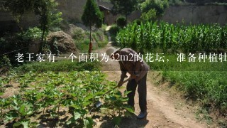 老王家有1个面积为32m2的花坛，准备种植牡丹8m2，