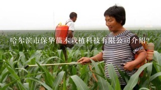 哈尔滨市保华苗木栽植科技有限公司介绍？