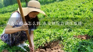 从大石桥市怎么到 永安镇综合训练基地