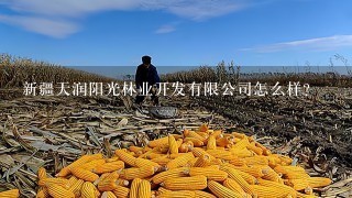 新疆天润阳光林业开发有限公司怎么样？