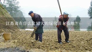 江苏省有什么比较大的绿化苗木基地？