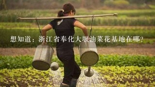 想知道: 浙江省奉化大堰油菜花基地在哪？