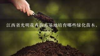 江西省光明花卉苗木基地培育哪些绿化苗木，盆景素材品种