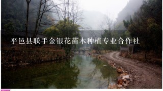 平邑县联手金银花苗木种植专业合作社