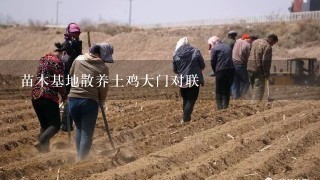 苗木基地散养土鸡大门对联