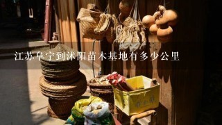 江苏阜宁到沭阳苗木基地有多少公里