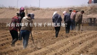 河南省哪里有车厘子种植基地？