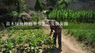 苗木绿化种植季节怎么发朋友圈