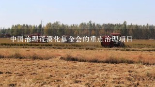 中国治理荒漠化基金会的重点治理项目