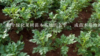 起个绿化果树苗木基地的名字 ，或苗木基地的名字.1要有含义.2名字与果树苗木有关