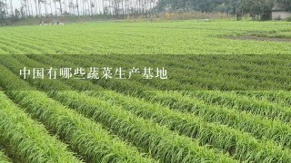 中国有哪些蔬菜生产基地