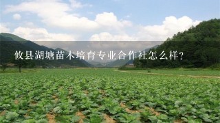 攸县湖塘苗木培育专业合作社怎么样？