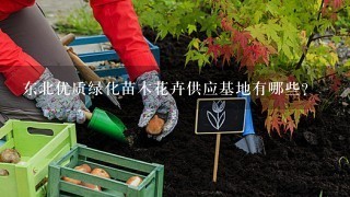 东北优质绿化苗木花卉供应基地有哪些？