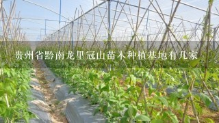 贵州省黔南龙里冠山苗木种植基地有几家