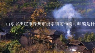 山东省枣庄市滕州市级索镇前杨岗村邮编是什么?