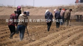 贵州省沿河县夹石镇2012中考成绩