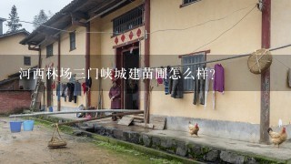 河西林场3门峡城建苗圃怎么样？