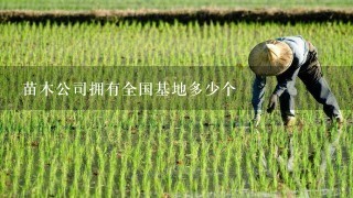 苗木公司拥有全国基地多少个