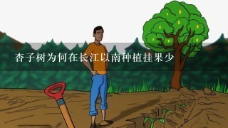 杏子树为何在长江以南种植挂果少