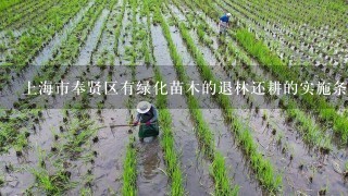 上海市奉贤区有绿化苗木的退林还耕的实施条例和补贴赔偿吗？