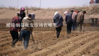 醴陵烟花批发市场在哪里