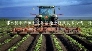 邻水县丰禾镇土豆种基地土豆批发多少钱1斤？