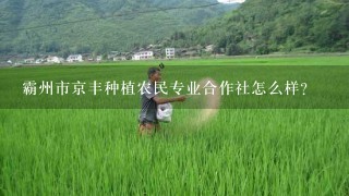 霸州市京丰种植农民专业合作社怎么样？
